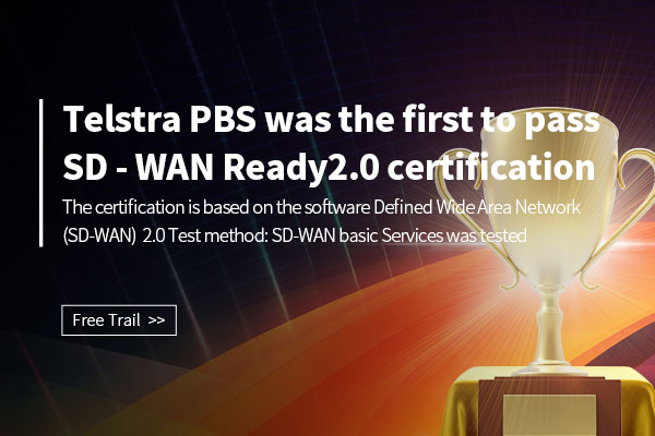 SD-WAN-2.0-英文-600X400.jpg
