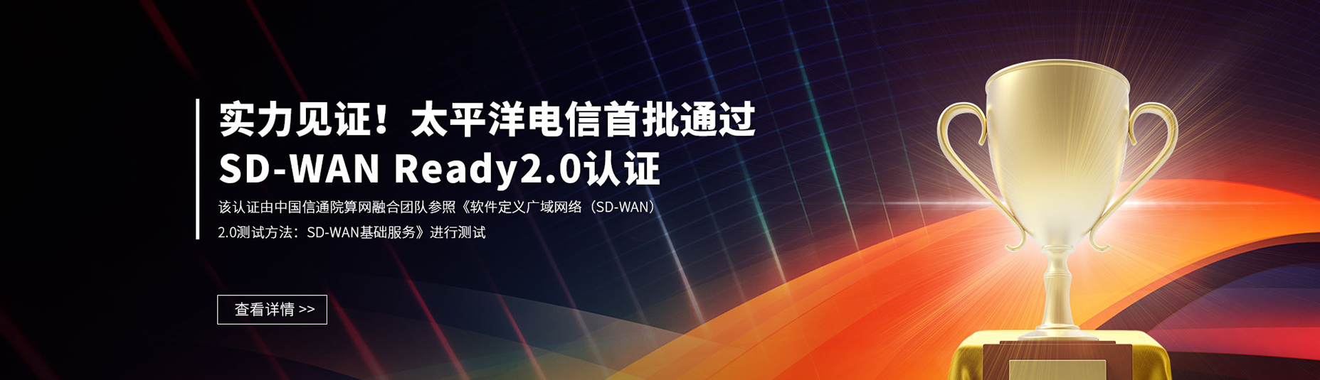 SD-WAN-2-中文.png