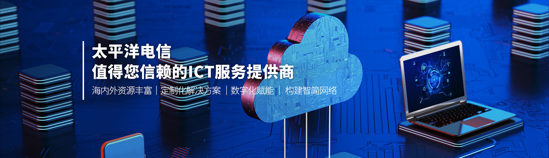 太平洋电信-中文.png