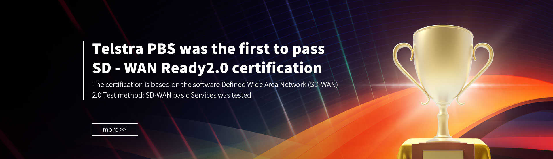 SD-WAN-2-英文.jpg
